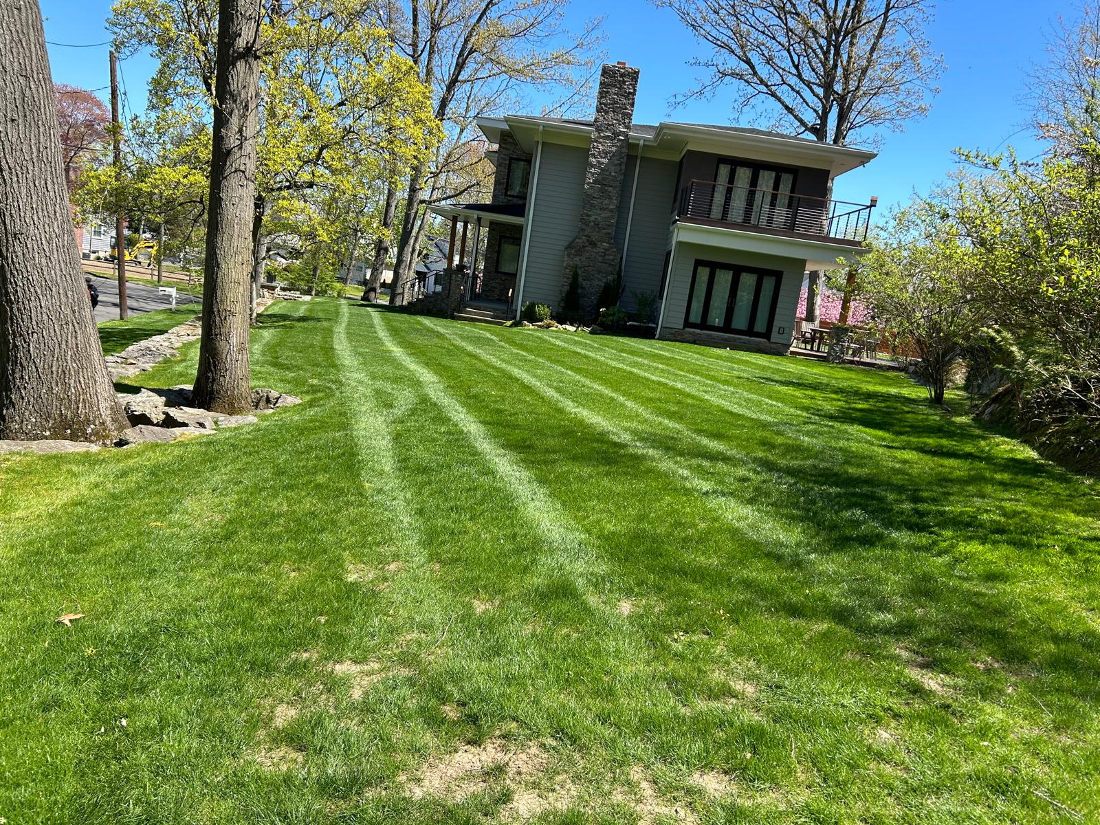 Jaime Landscaping Tree Services