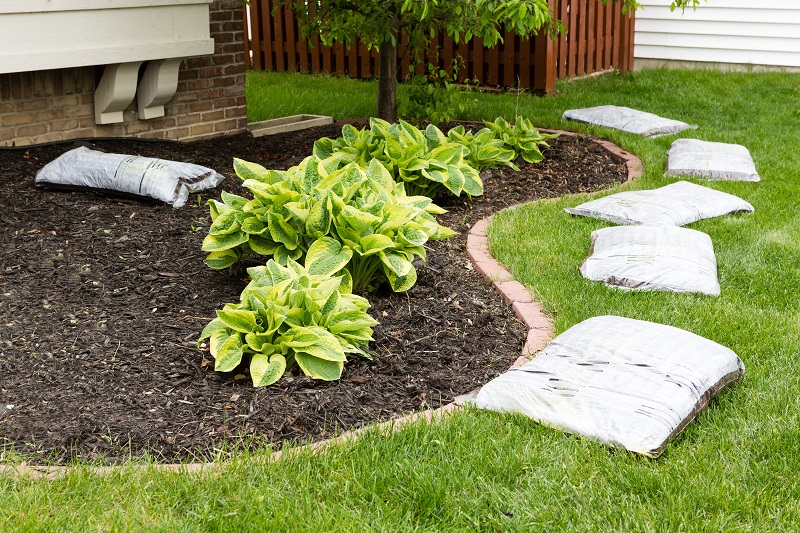 scientific-plant-service-mulch